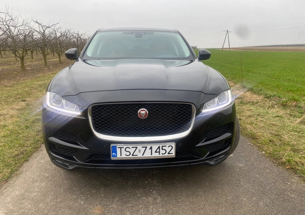 Jaguar F-Pace cena 79999 przebieg: 186000, rok produkcji 2016 z Staszów małe 704